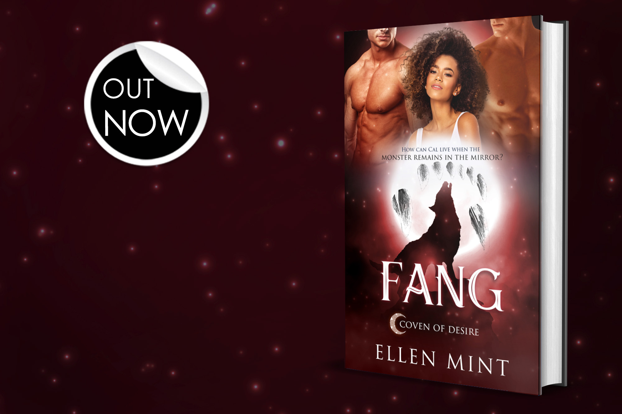 Blitz: Fang