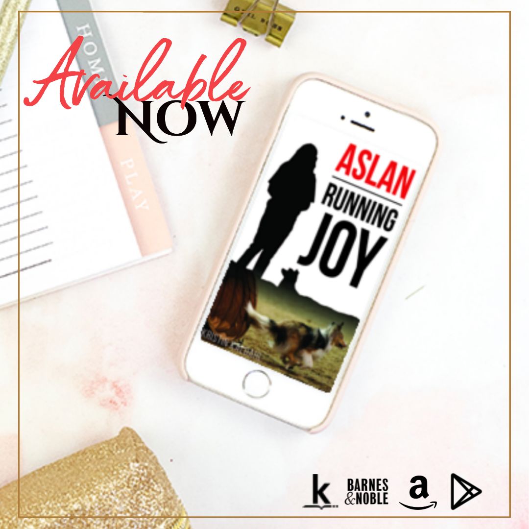 Blitz: Aslan Running Joy
