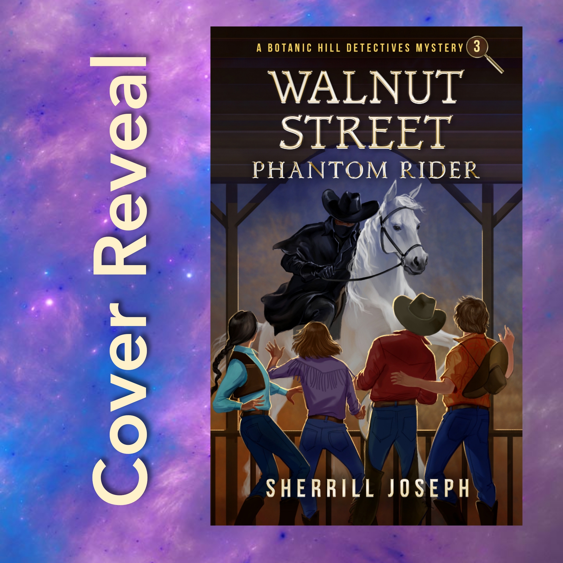 Cover Reveal: Phantom Rider