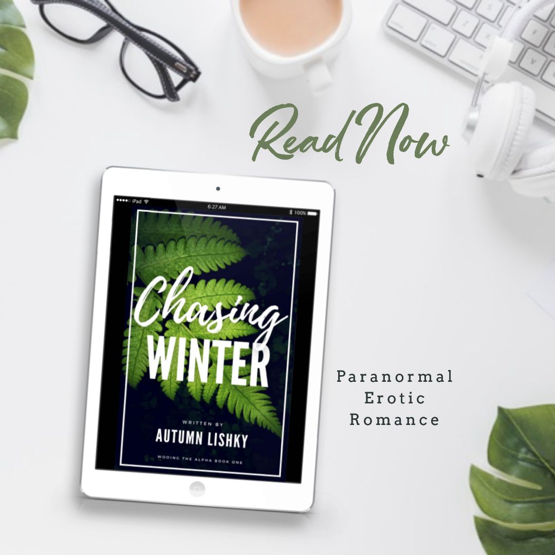 Blitz: Chasing Winter
