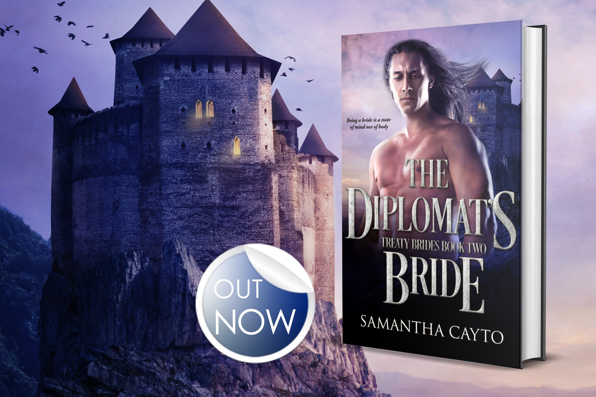 The Diplomat’s Bride