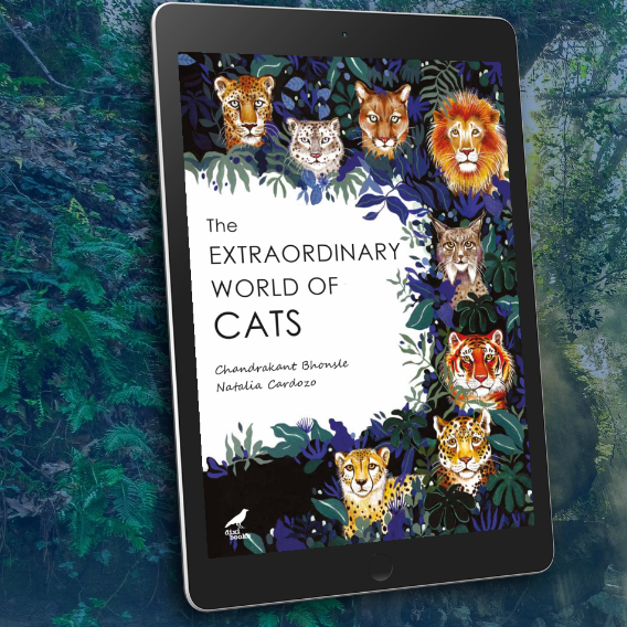 The Extraordinary World of Cats