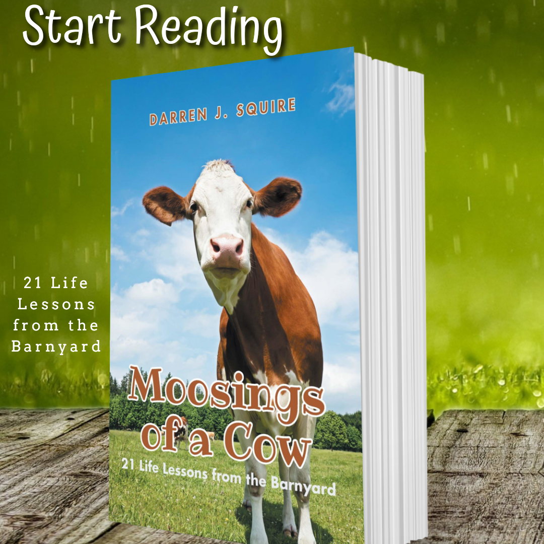 Moosings of a Cow