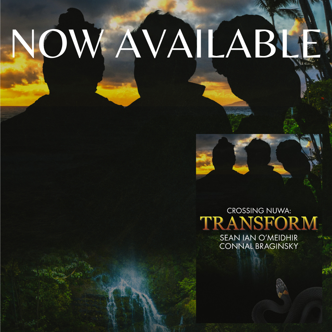 Transform Release Blitz