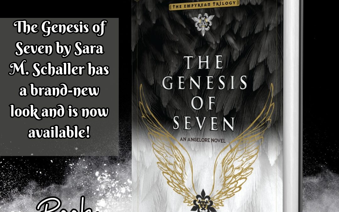 The Genesis of Seven Book Blitz