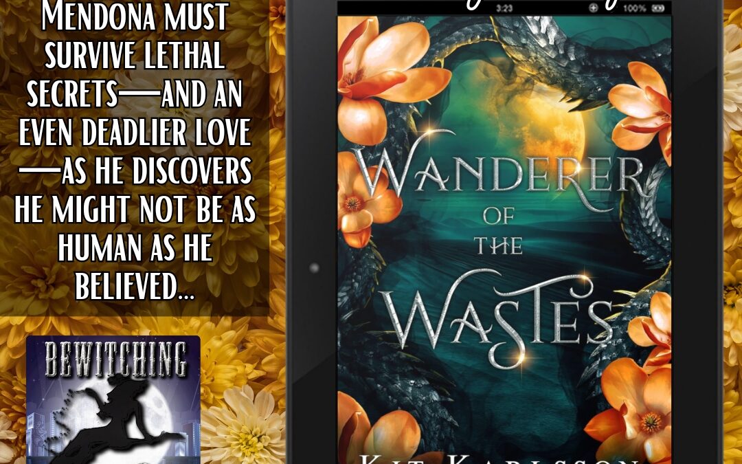 Wanderer of the Wastes Book Tour