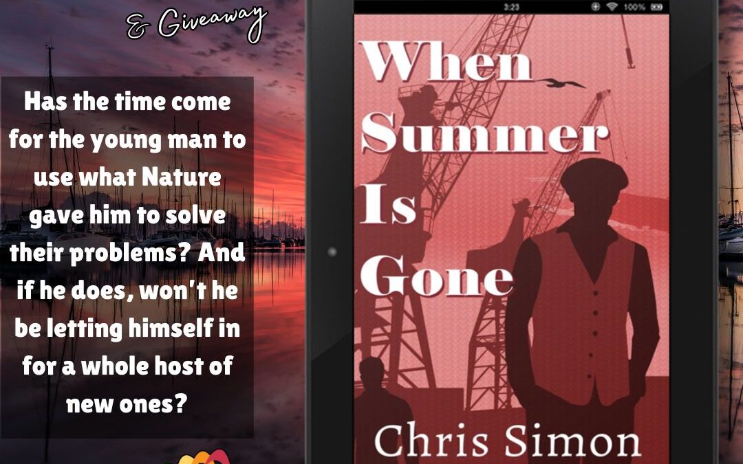 When Summer is Gone Release Blitz