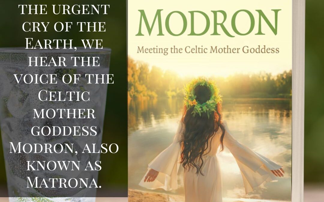 Review: Modron